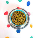 Kit 2 Comedouros Inox Premium Azul 210ml com Base de Silicone Cães e Gatos -  GermanHart 