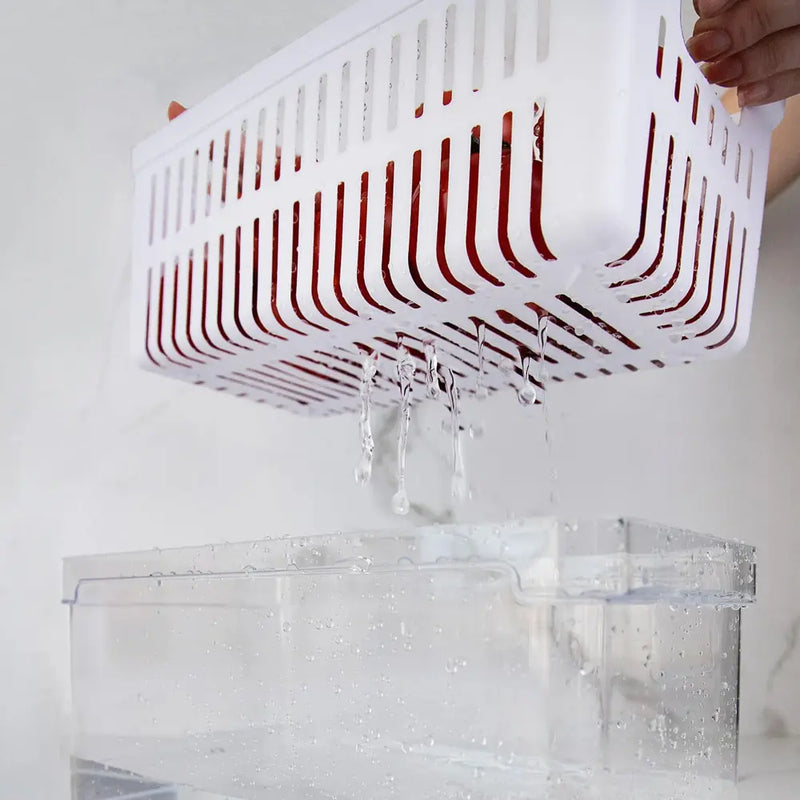 Organizador De Geladeira com Tampa e Cesto Acrílico 5L - Clear Fresh