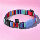 Coleira Ajustável e Guia para Cães Raios e Listras Violeta - G