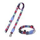 Coleira Ajustável e Guia para Cães Raios e Listras Violeta - G