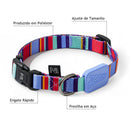 Coleira Ajustável e Guia para Cães Raios e Listras Violeta - G