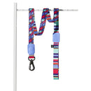 Coleira Ajustável e Guia para Cães Raios e Listras Violeta - G