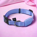 Coleira Ajustável e Guia para Cães Violeta - G