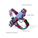 Peitoral em X e Guia para Cães - Raios e Listras Azul - P