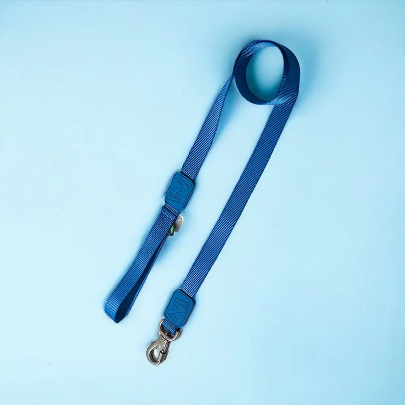 Peitoral em X e Guia para Cães - Raios e Listras Azul - G