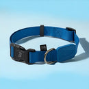 Coleira Ajustável e Guia para Cães Azul Marinho - G