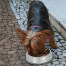 Kit 2 Comedouros Inox Premium Azul 210ml com Base de Silicone Cães e Gatos -  GermanHart 