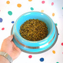 Kit 2 Comedouros Inox Prestige 850ml - Resistente e Antiderrapante - Azul - GermanHart